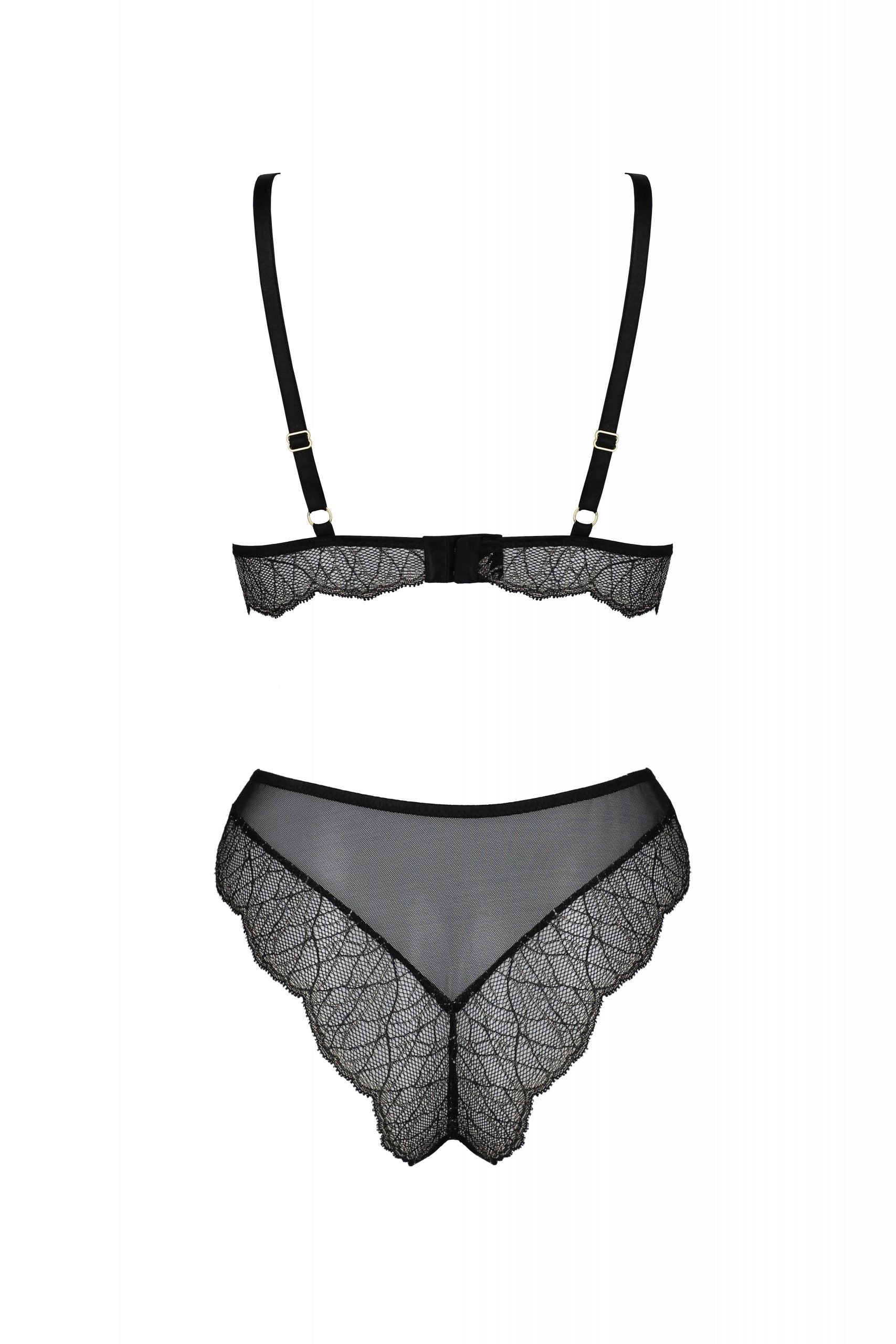 Soft Sheer Lace Top & Bikini Set Passion Amberly — view 4