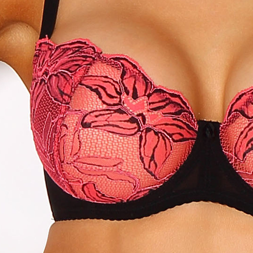 Sexy Sheer Lace Demi Cup Bra Paripari La Furia — view 3