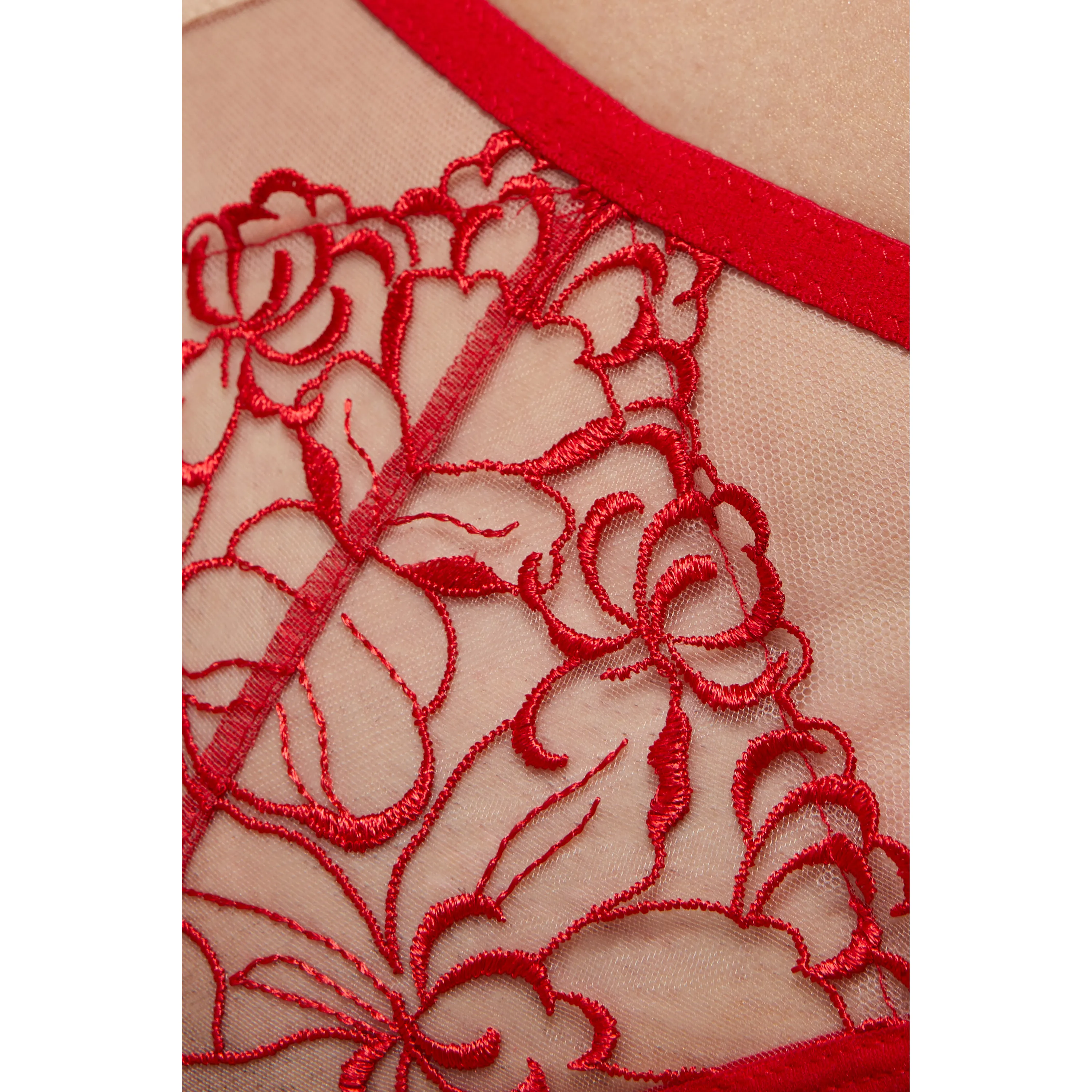 Gorteks Mistress Sheer Mesh Thong Panty — view 5