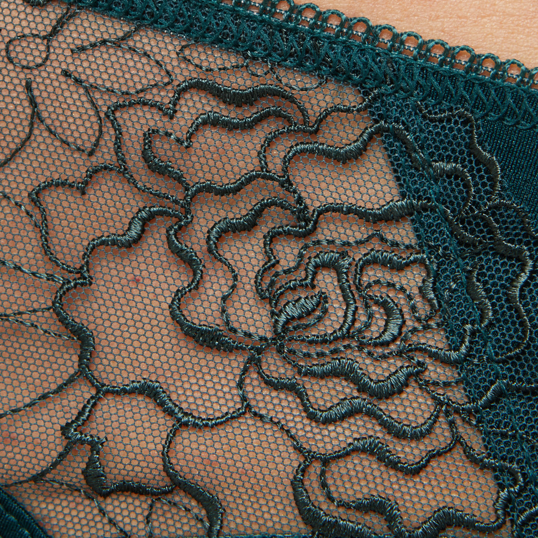 Gorteks Pamela Pine Green Semi Sheer Low Rise Bikini Panty — view 5