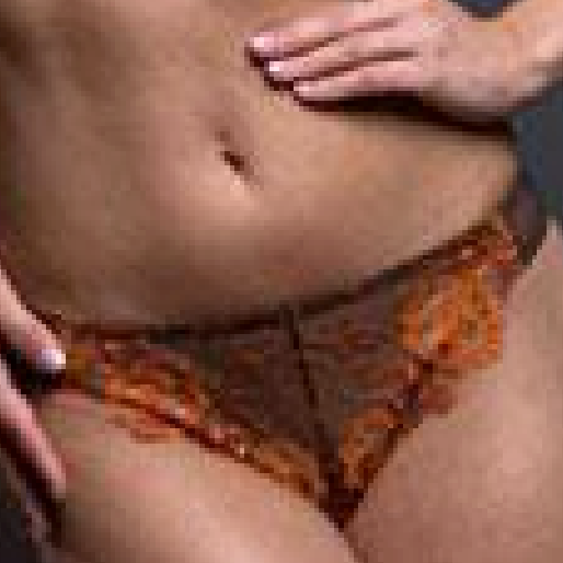 Sheer French Cut Thong Panty Teaselle Wildfire