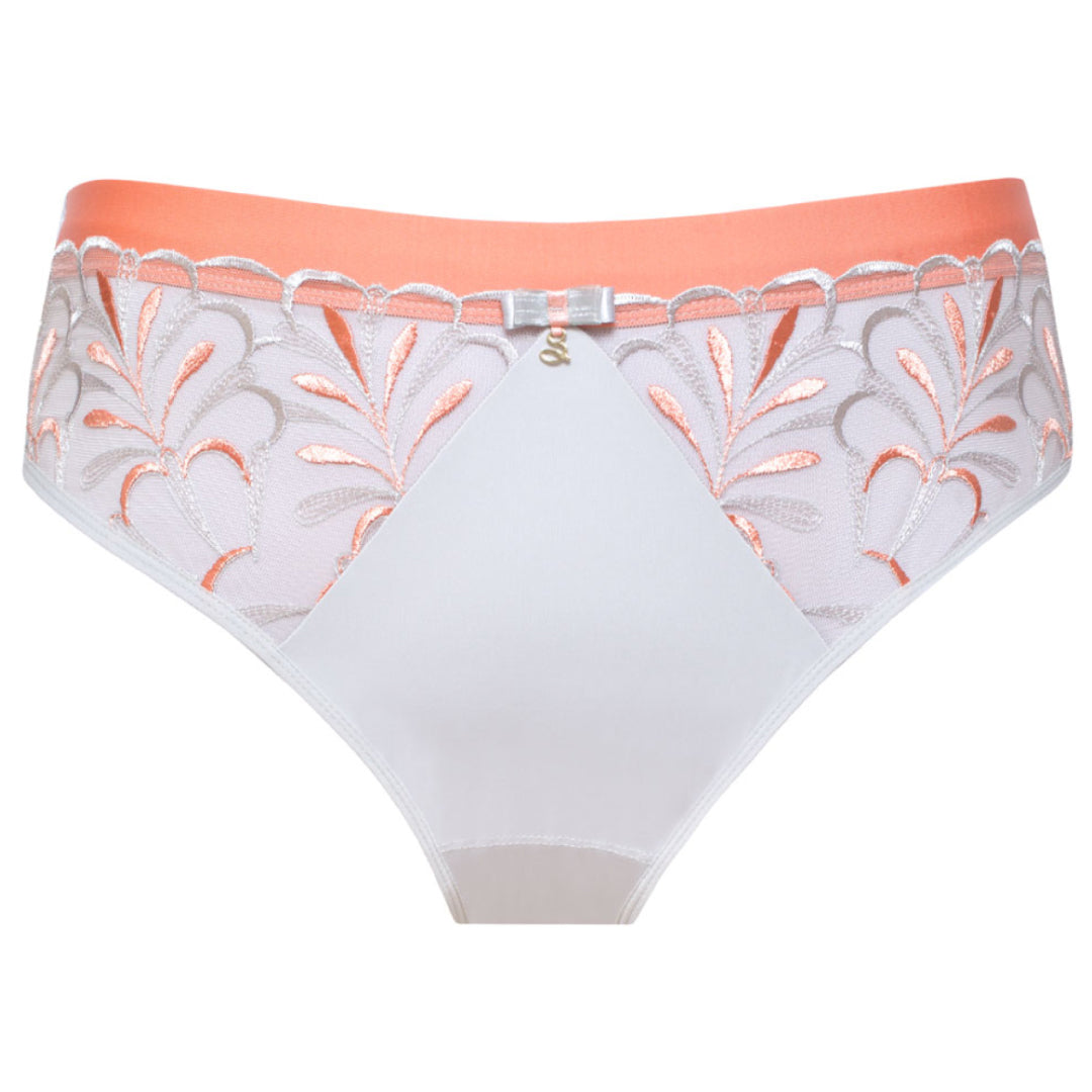 Samanta Sweet Gray Sheer Mesh Tulle Embroidered Brief Panty — view 3