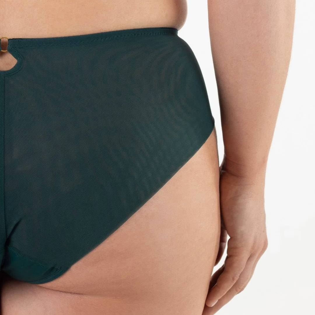 Samanta Boobie Emerald Sheer Mesh Tulle Embroidered Brief Panty — view 5