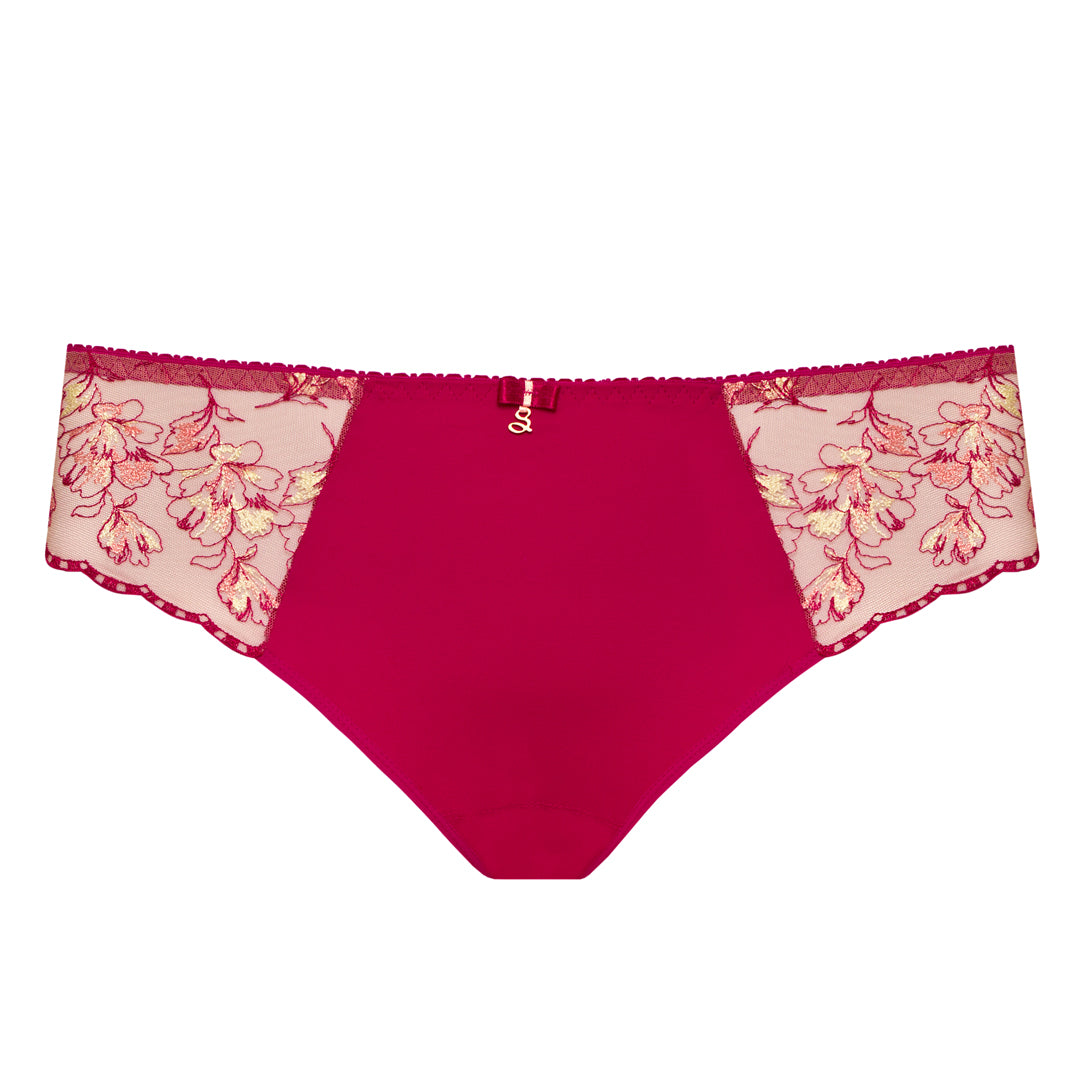 Samanta Daniela Red Sheer Mesh Tulle Embroidered Bikini Panty — view 5