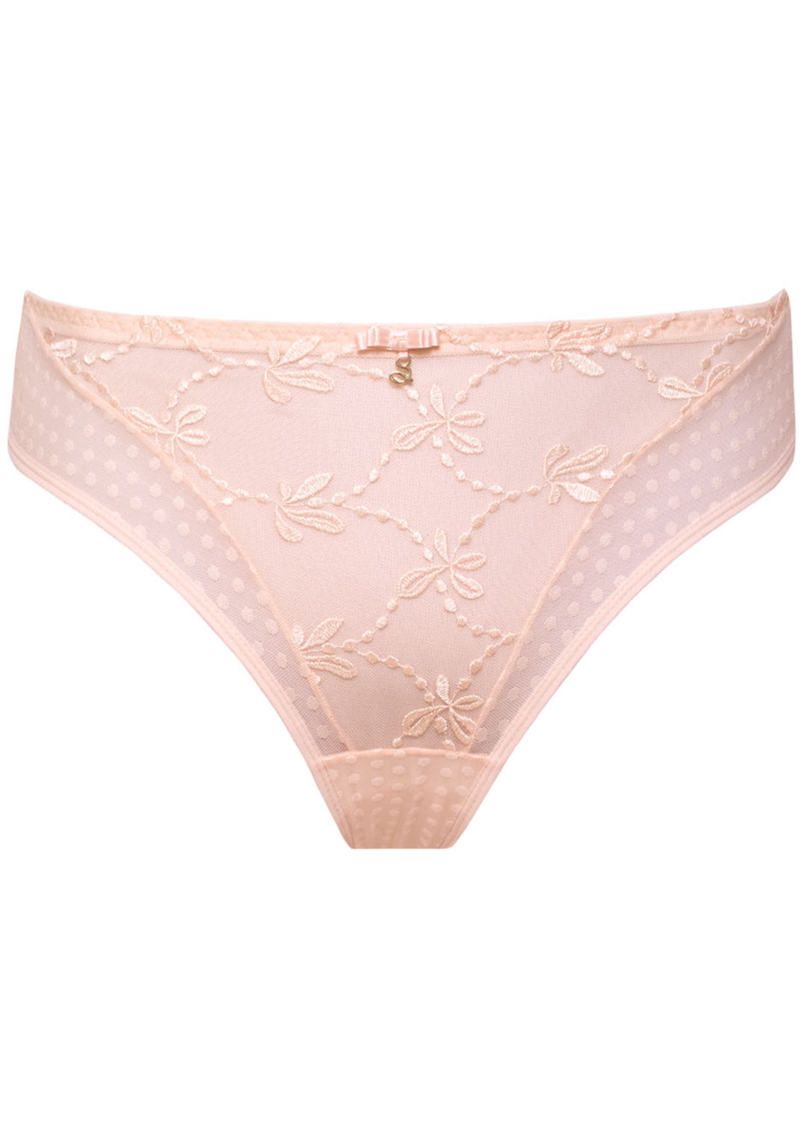 Samanta Donna Powder Rose Sheer Mesh Tulle Embroidered Tanga Panty — view 7