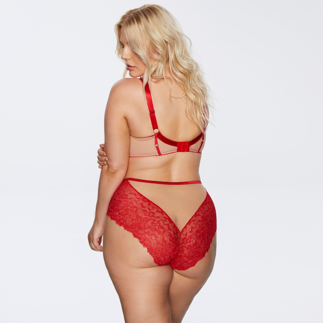 Kinga Mind Love Soft Lace High Waist Brief Panty — view 4