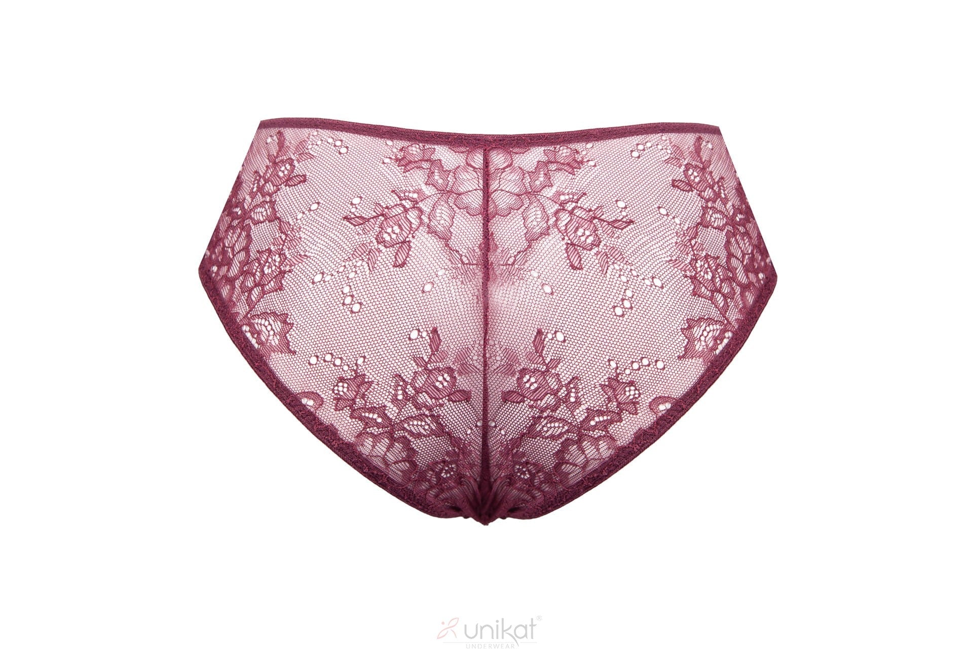 Unikat Caro Sheer Mesh Lace Low Rise Bikini Panty — view 3