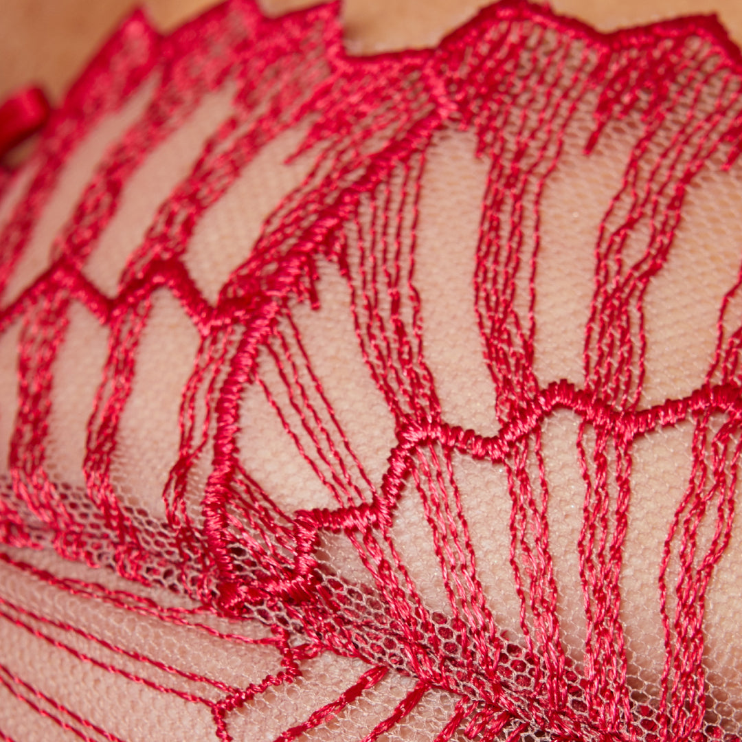 Gorteks Sierra Sheer Mesh Embroidery Full Coverage Bra — view 6